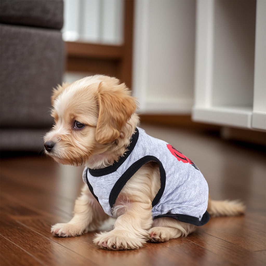 Pistha 4 Pack Dog Shirts Summer Printed Puppy Clothes Cute Sleeveless Pet T Shirts Dog Clothes for Small Medium Dogs Cats Girl(L)