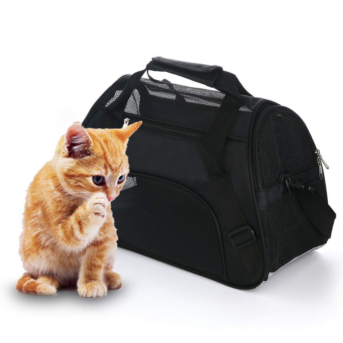 MuchL Pet Carrier Soft-Sided Carriers for Cat Carriers Dog Carrier for Small Medium Cats Dogs Puppies Pet Carrier Airline Approved Cat Dog Pet Travel Carrier (Small, Black)