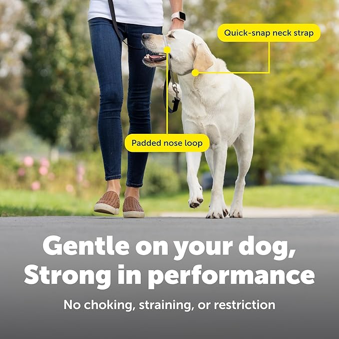 PetSafe Gentle Leader No-Pull Dog Headcollar - The Ultimate Solution to Pulling - Redirects Your Dog's Pulling for Easier Walks - Helps You Regain Control - Medium, Raspberry Pink