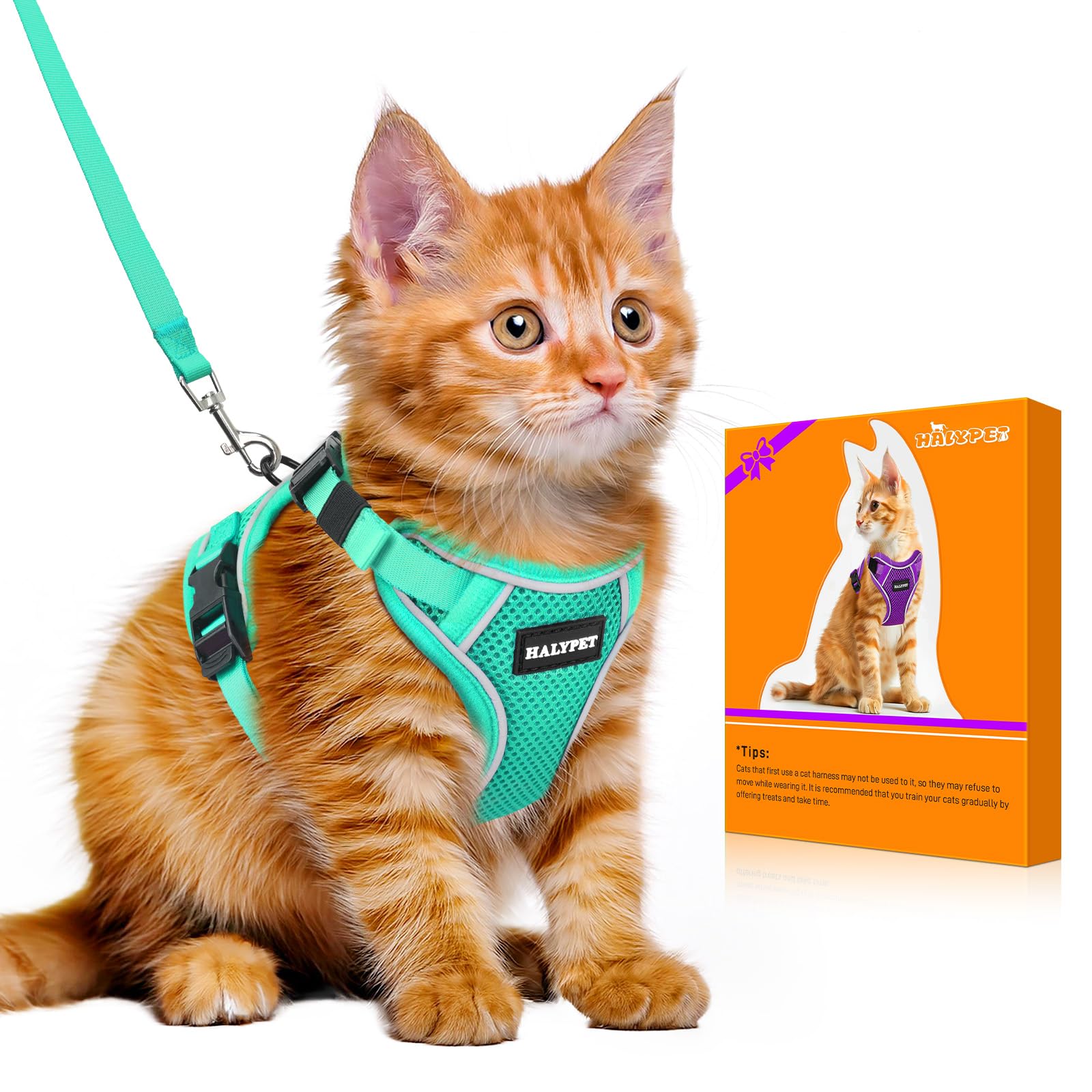 Cat Harness and Leash Set,Escape Proof Kitten Harness,Green