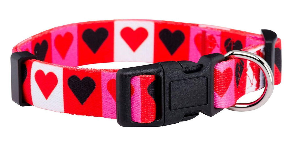 Native Pup Halloween Dog Collar (Small, Bats)