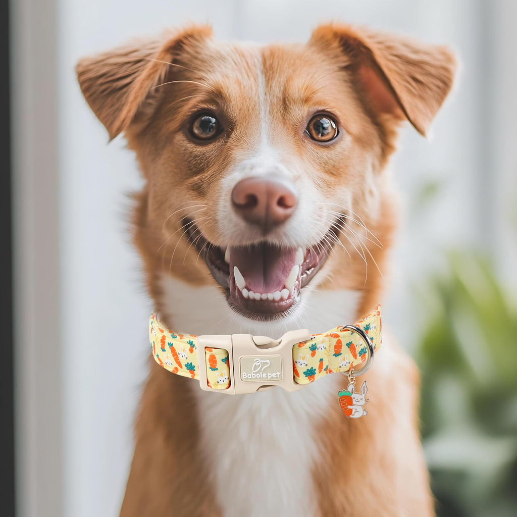 Babole Pet Easter Dog Collar for Giant Large Dogs - Cute Carrot Bunny Easter Collars for Boy Girl Dogs, Lightweight Adjustable Yellow Cartoon Holiday Dog Collar XL