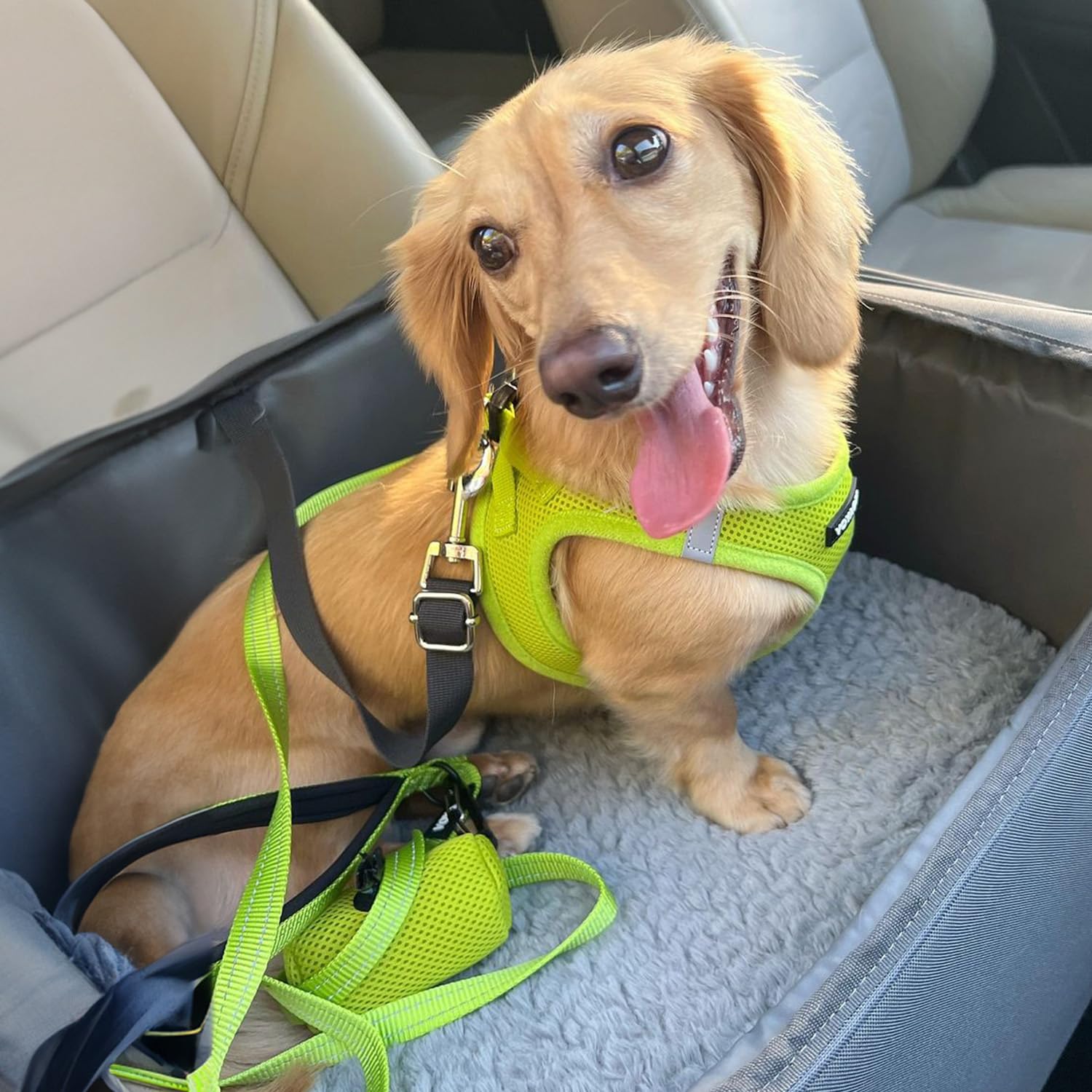 Best Pet Supplies Voyager Step-in Air All Weather Mesh Harness and Reflective Dog 5ft Leash Combo with Neoprene Handle, for Small, Medium and Large Breed Puppies - Lime Green, Medium