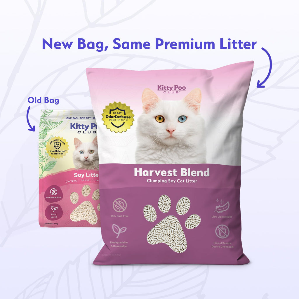 Kitty Poo Club Disposable Cat Litter Box 2-Pack with Soy Litter