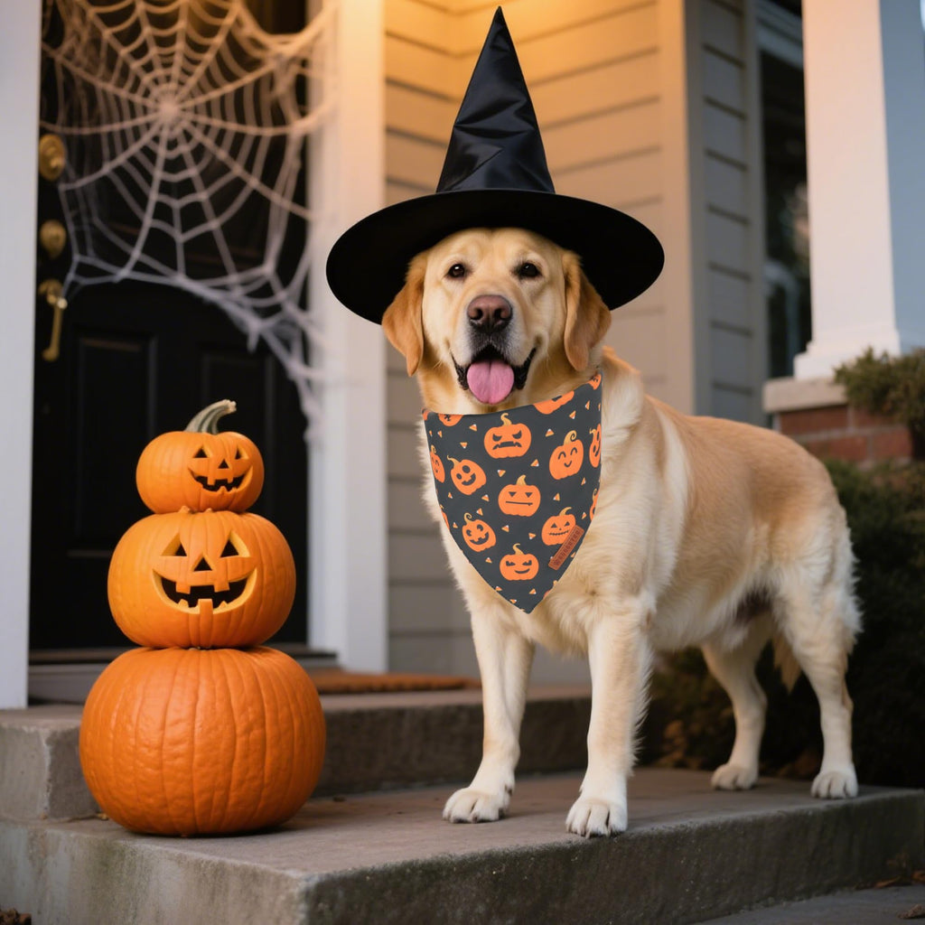 ADOGGYGO Halloween Dog Bandanas, 2 Pack Ghost Pumpkin Dog Scarf, X-Large