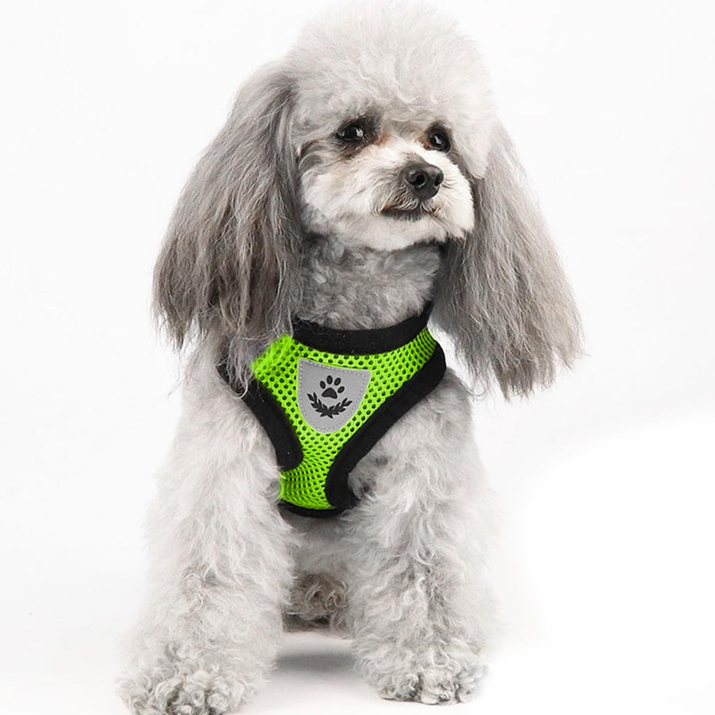 shudyear Summer cat Chest Harness and Leash, Anti-Escape Adjustable Soft mesh cat Leash and Chest Harness Set for All Types of Cats cat Vests (Size M,Green)