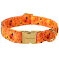 Unique style paws Dog Collar Metal Buckle Collar for Autumn Winter Christmas for Small Medium Large Boys Girls Dogs