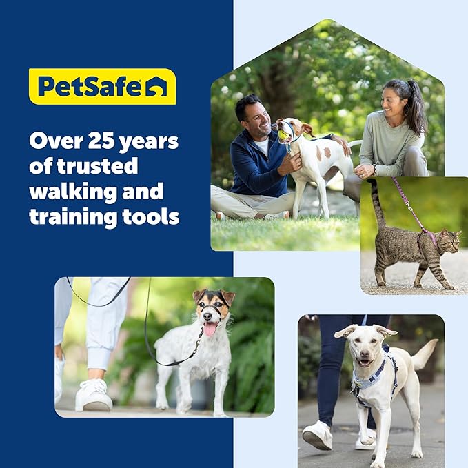 PetSafe Come With Me Kitty Cat Harness & Bungee Leash - Comfortable Cat Harness with Lightweight Bungee Leash for Outdoor Fun - More Secure Walks - Small - Red