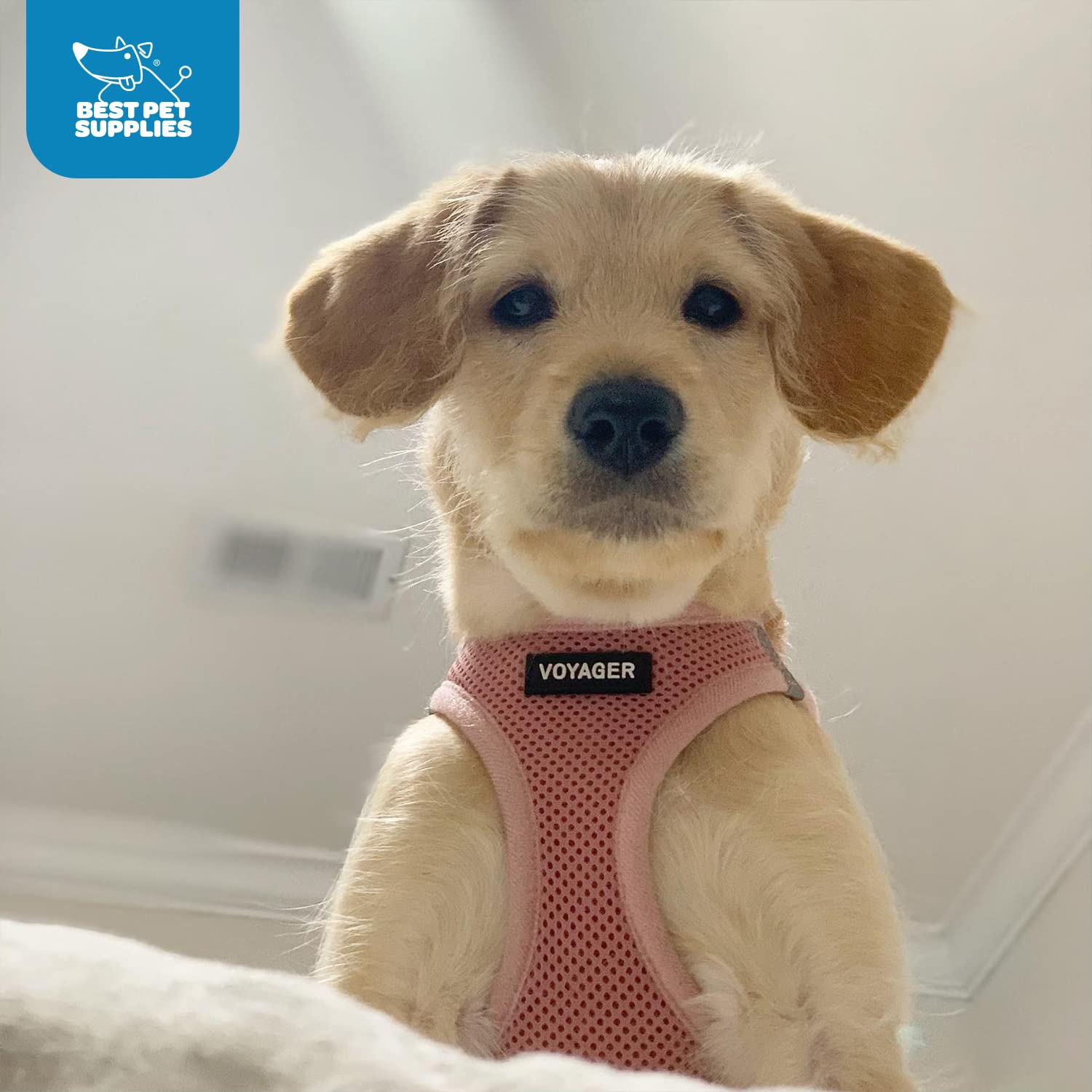 Voyager Step-in Air Dog Vest Harness - Pink, Small