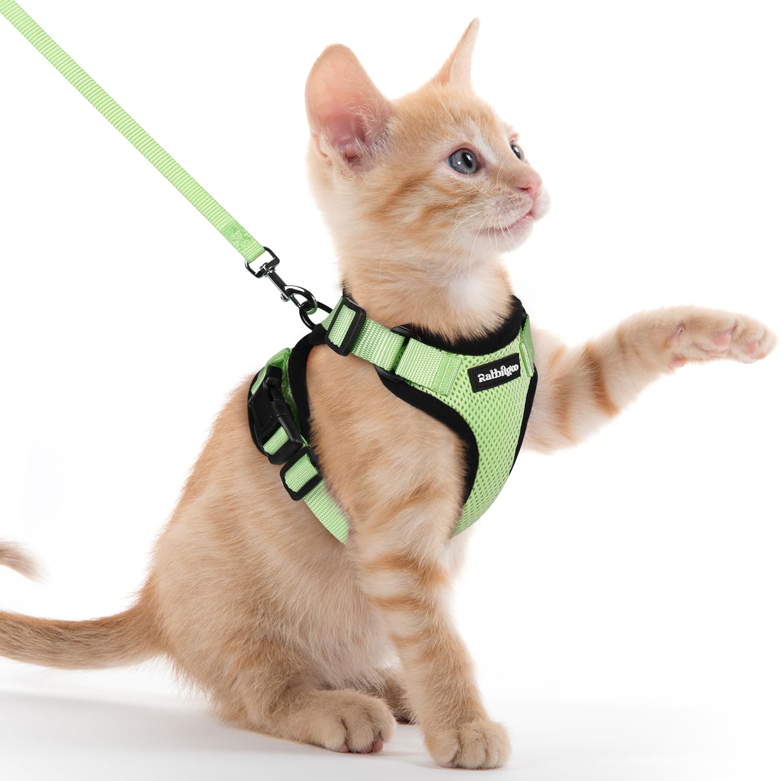 rabbitgoo Cat Harness and Leash Set, Escape Proof Vest, Emerald