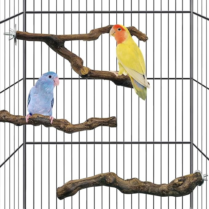 kathson Natural Parrot Perch Bird Stand Pole Wild Grape Stick Paw Grinding Fork Parakeet Climbing Standing Branches Toy Chewable Cage Accessories for Small Budgies Cockatiels Lovebirds 4PCS