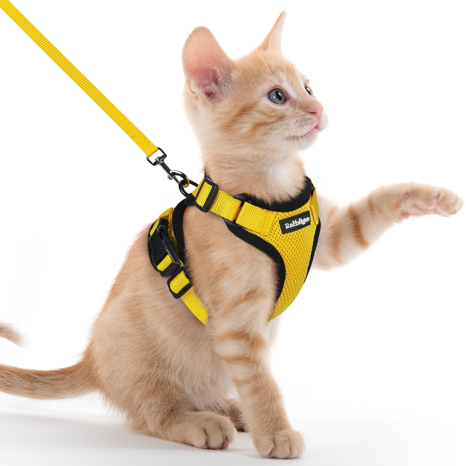 rabbitgoo Cat Harness and Leash Set, Escape Proof Vest, Emerald