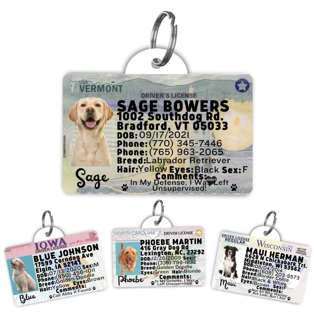 Dog Tags Personalized, Dog ID License Tag for Pets (Washington, Tag)