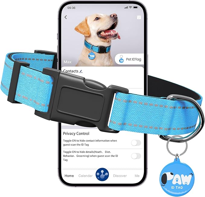 Pawduct Personalized Dog Collar with QR Code Tag, Puple, Small