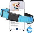 Pawduct Dog Name Tags Personalized Collar, Smart ID Tag, Large, Blue