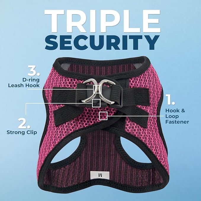 Best Pet Supplies Voyager Step-in Air Harness - All Weather Mesh, Reflective, No Pull Harness for Dogs, Cats - Secure with Hook & Loop Fastener, Buckle, Double D-Rings - Fuchsia 2-Tone, L