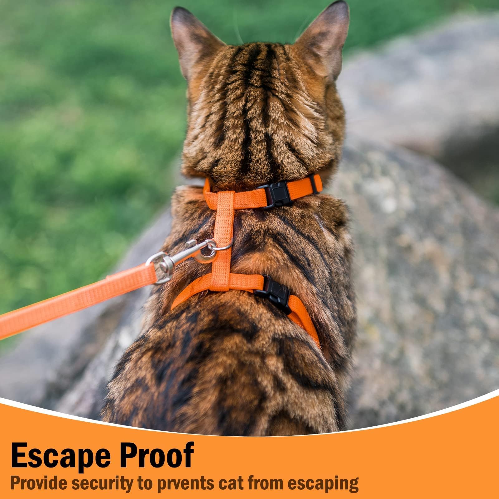 PUPTECK Adjustable Cat Harness and Leash Set Escape Proof Kitten Strap Collar for Walking Travel, Orange, M