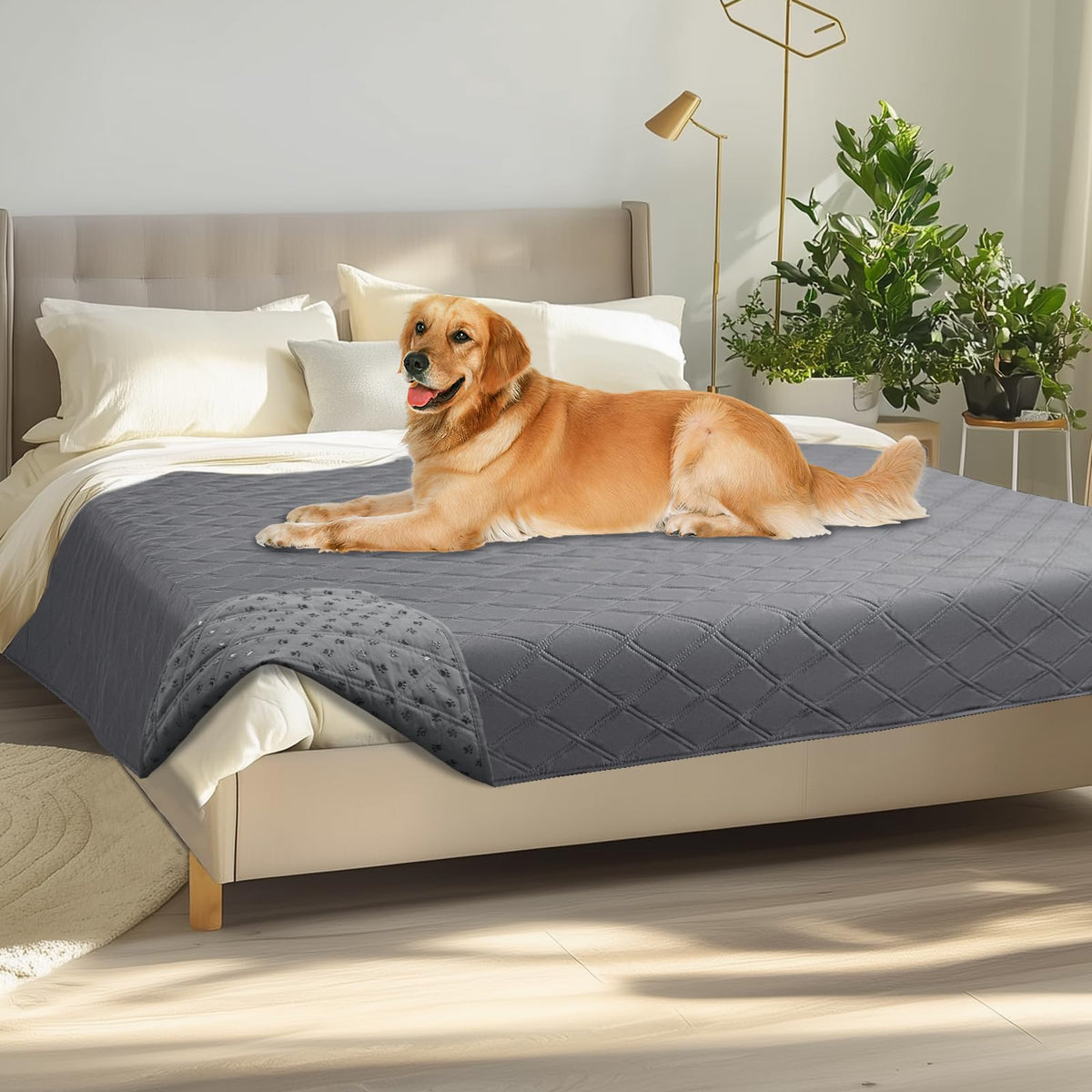 Luciphia Waterproof Couch Cover for Dogs, Non-Slip Pet Sofa Protector