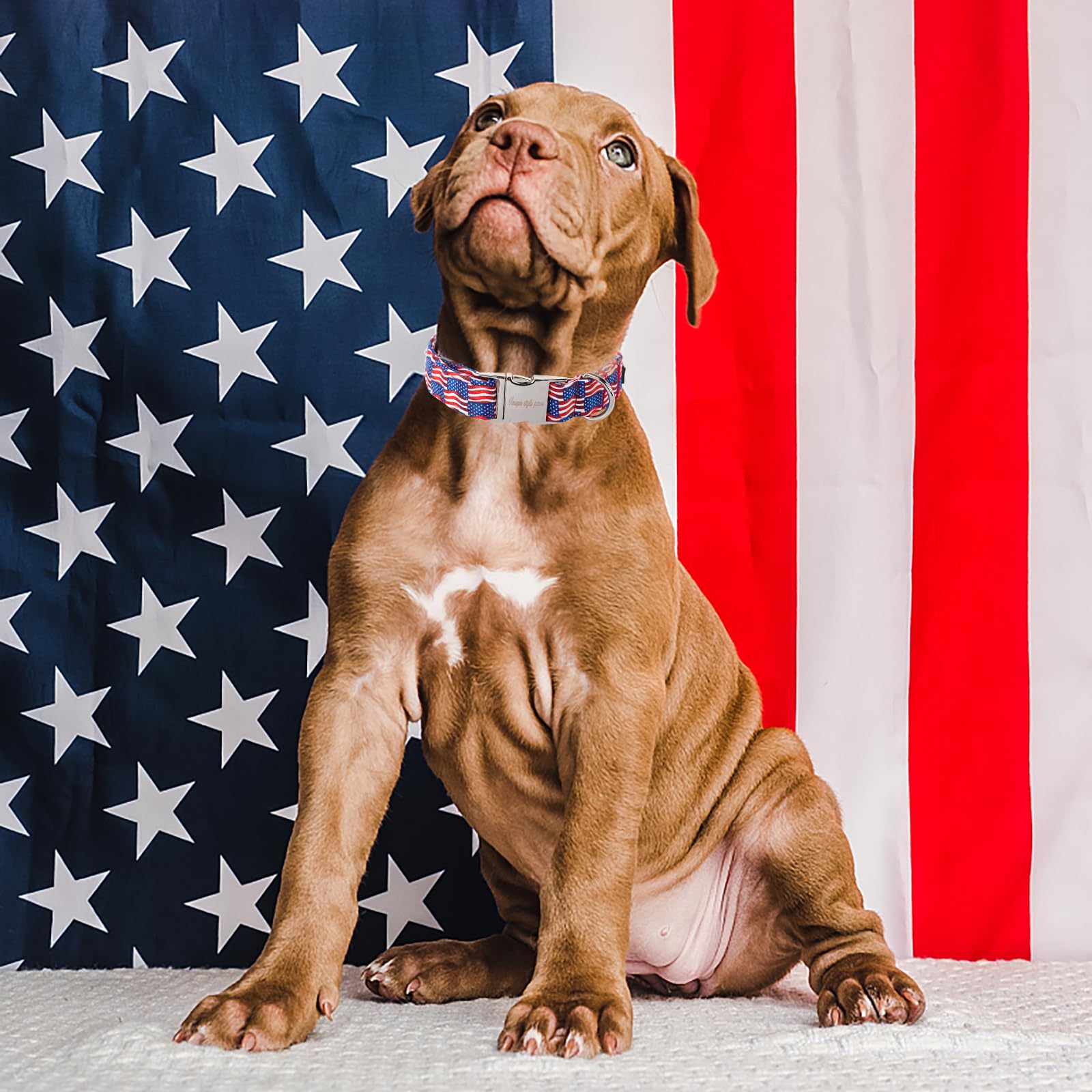 Unique style paws Independence Day Dog Collar Metal Buckle Wave Flag Collar Gift Durable Cute Collar for Small Medium Large Boys Girls Dogs