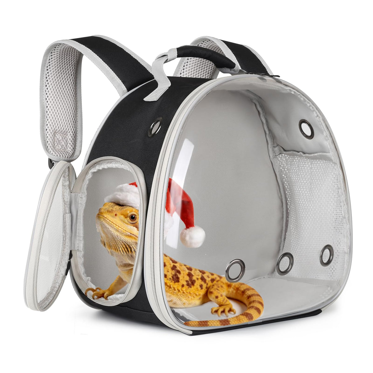Guinea Pig Carrier,Guinea Pig Carrier for 2,Ventilation Carrier for Bearded Dragon,Reptile Travel Carrier for Lizards Sugar Glider Hedgehog Rat Parrot Birds,Airline Approved Green