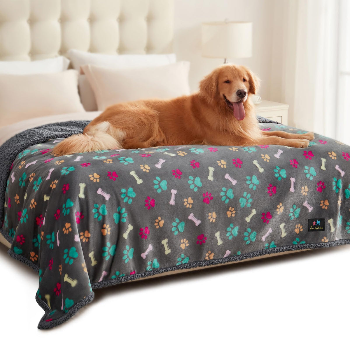 Luciphia Waterproof Dog Blanket Reversible Sherpa Fleece for Large Dogs Cat