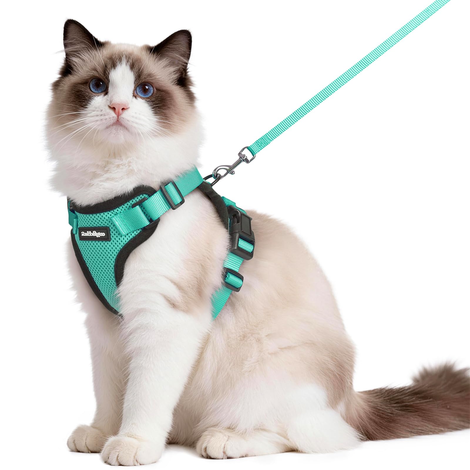 rabbitgoo Cat Harness and Leash Set, Escape Proof Vest, Emerald