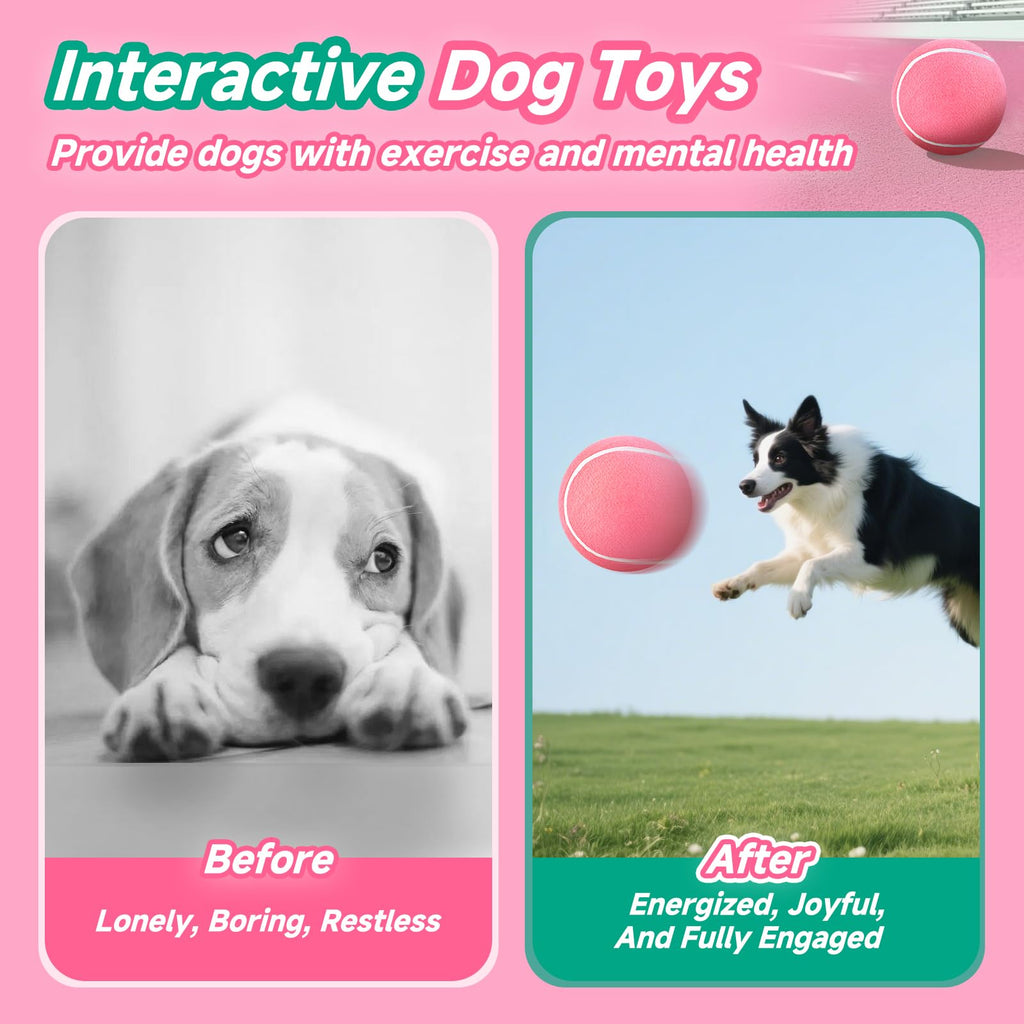 HETOO Dog Tennis Balls, Dog Puppy Birthday Gifts, Herding Ball, 9.5 Inch
