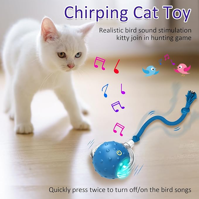 Giociv Interactive Cat Toys Ball for Indoor Cats Fast Rolling on Carpet, Chirping & Motion Activate Cat Toys (Blue)