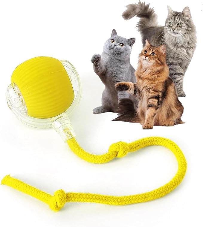 Rocfish Durable Interactive Cat Toys for Indoor Cats (Yellow, 01)
