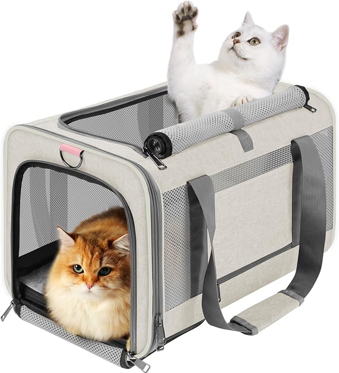 GAPZER Large Cat Carrier Soft, Collapsible Travel Pet Carry Bag, Small Dogs