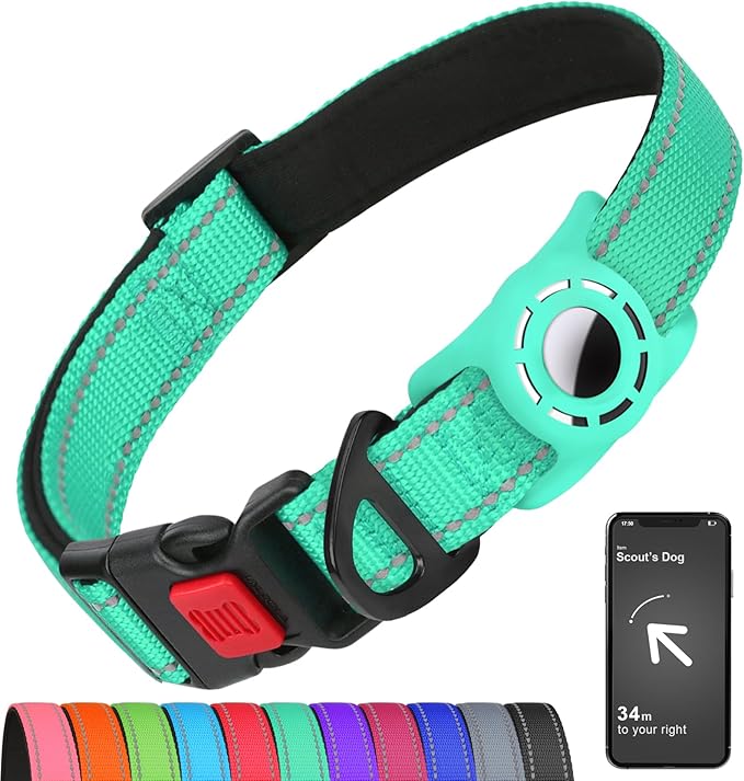 Erbine AirTag Dog Collar with AirTag Holder Compatible for Air Tag, Reflective Soft Padded, Safety Locking Buckle, Adjustable Nylon for Small Medium Large Dogs (Teal,XL)