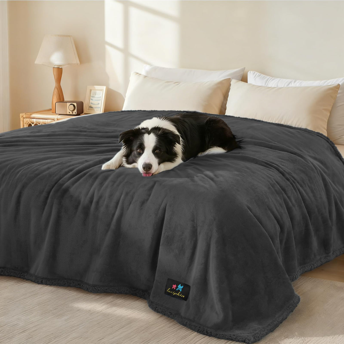 Luciphia Waterproof Blanket for Large Dog, Reversible Sherpa Couch Cover
