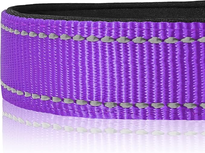 Joytale Reflective Dog Collar, Adjustable Neoprene Padded, Purple M