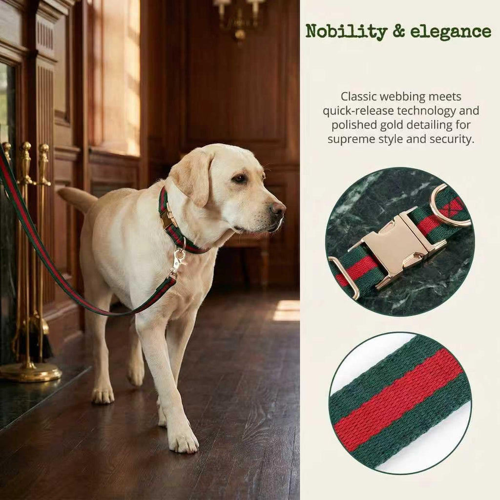 Premium Dog Collar, Cute Dog Collars Luxury Style, Durable Pet Collars and Dog Leash with Metal Buckle Safety for Puppy Small Dogs