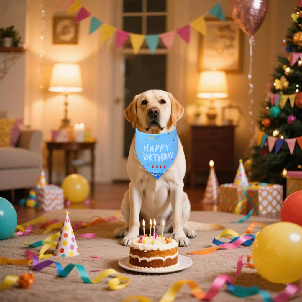 WoffBow Dog Birthday Boy Bandana for Medium Dogs, Reversible Blue Scarf
