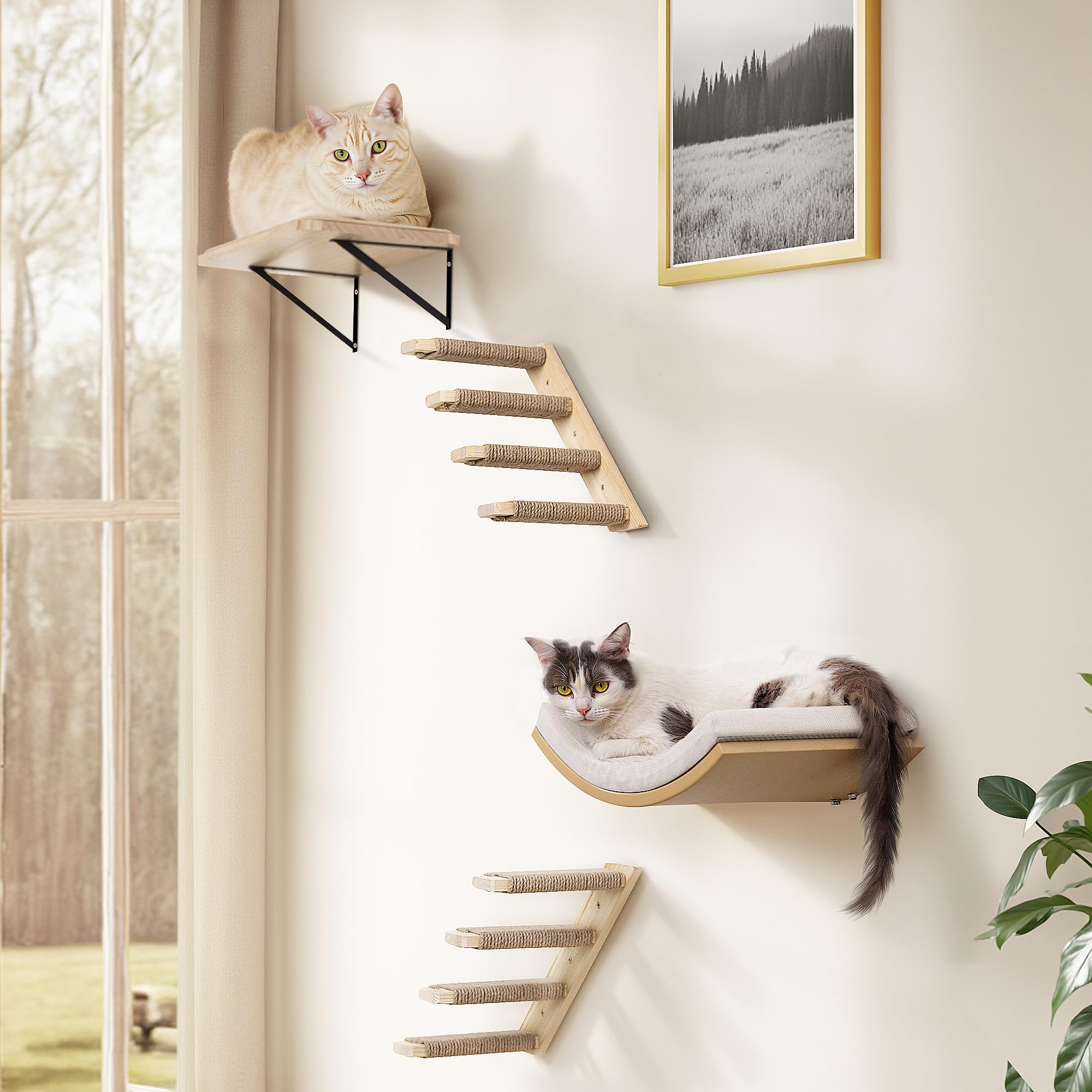 PELUOMOZ Cat Wall Stairs and Wall Shelves, 4 Piece Wood Cats Furniture Set, Padded Curved Bed with Foam, Flat Shelf & Climbing 4 Steps Stairs for Large Indoor Cats