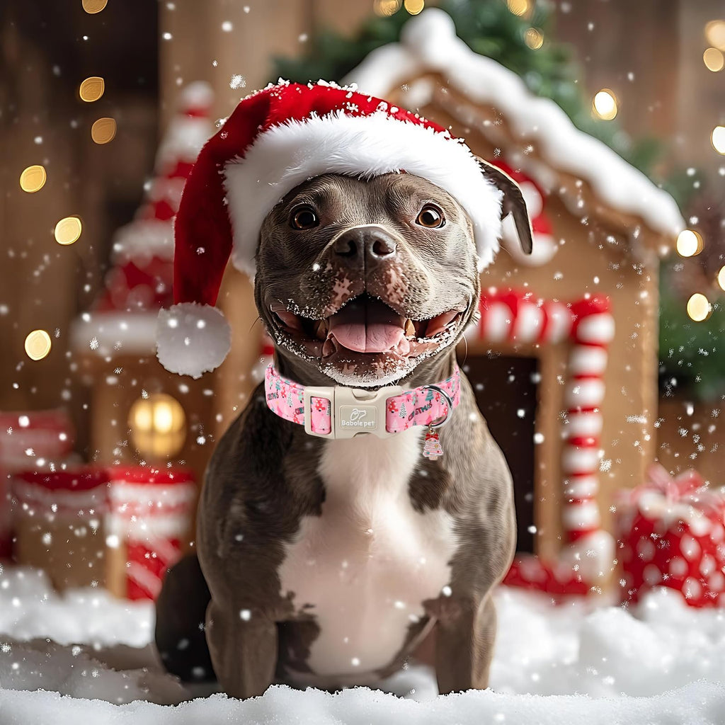 Babole Pet Christmas Dog Collar for Puppy Small Dogs - Cute Xmas Tree Print Pink Christmas Collars for Dogs, Soft Adjustable Winter Holiday Dog Collars with Quick Release Buckle XS