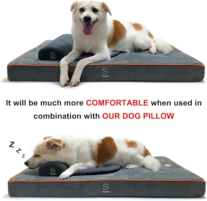 Whoopub Hard-Wearing Orthopedic Dog Bed for Crate, 53x36 Inch, Made of Memory and HR Foam, Two-Sided Use, Providing Soft and Relatively Hard Support, with an Extra Inner Waterproof Protector (Gray)
