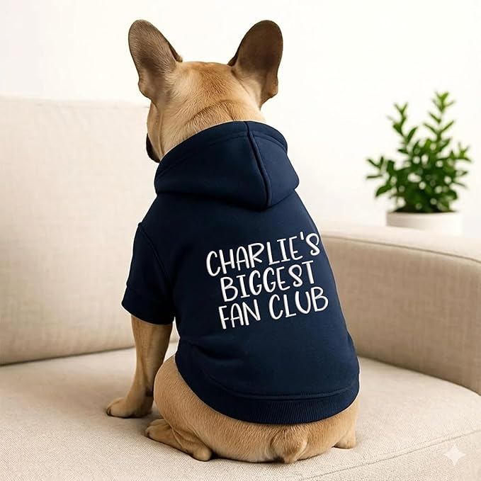 Personalized Name Dog Hoodie, Embroidered Hoodies Pets Name, Custom Pet Memorial, Bright Puppy Sweatshirt, Customized Pet Clothes Warm Winter Outfit for Dogs, Gift for Dog Lovers Style 7