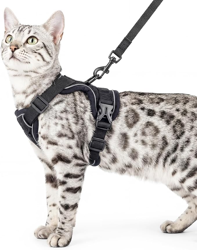 Cat Harness and Leash Set Escape Proof Tactical Extra Large Kitten Harness Emotional Support Cat Vest, Black, XXL
