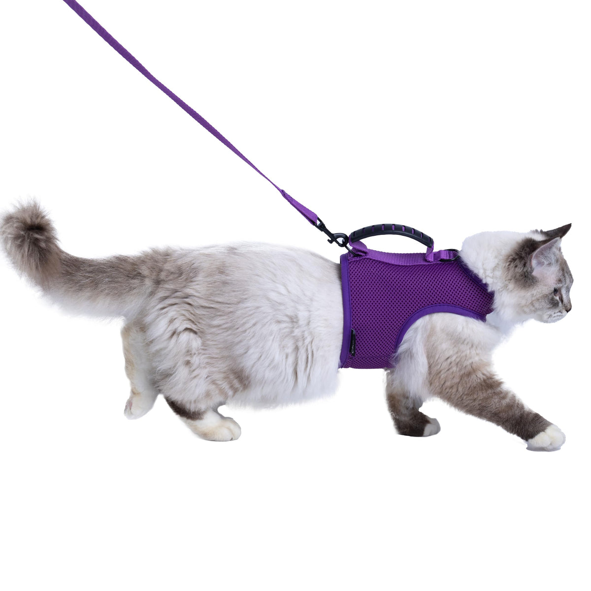 Cat Harness and Leash Set for Walking Escape Proof, Green, XX-Large