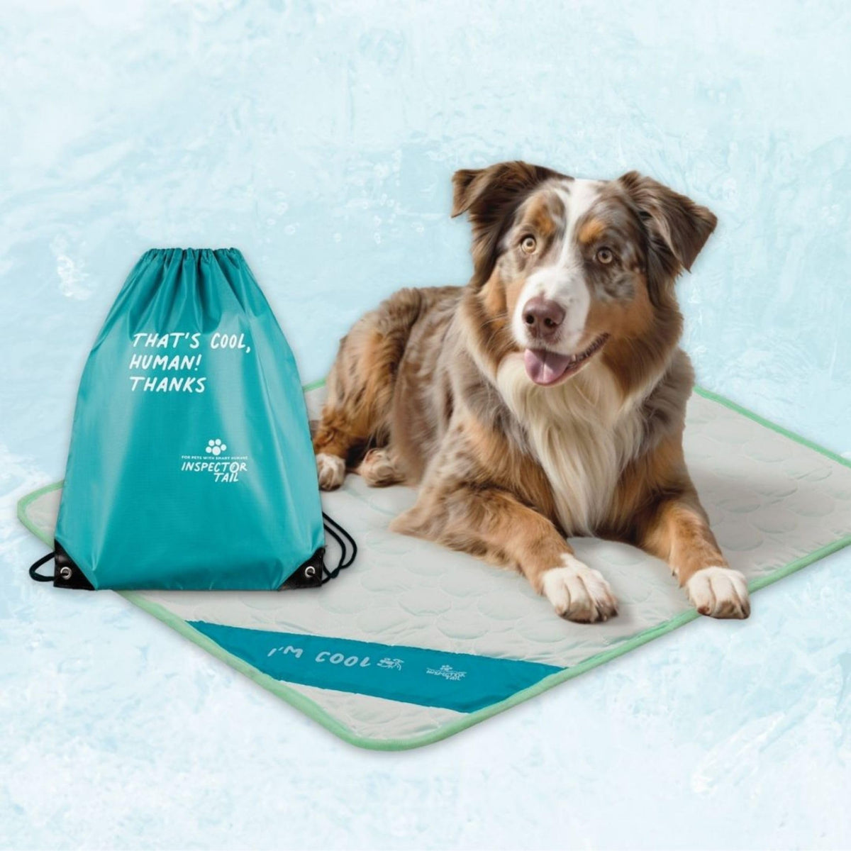 INSPECTOR TAIL Dog Cooling Mat, Indoor & Outdoor, Medium Self Cooling Pad