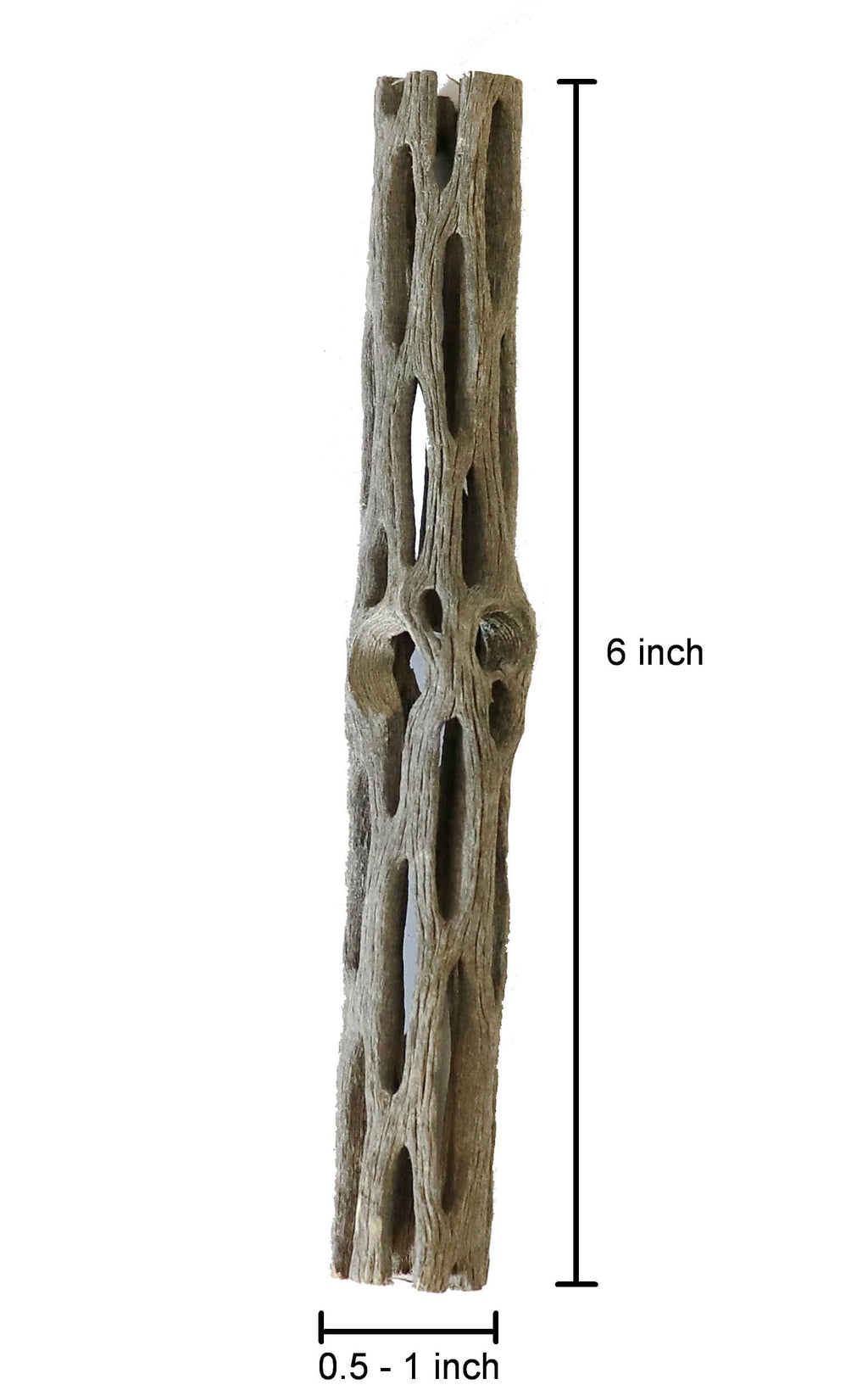 SoShrimp Natural Cholla Wood for Aquarium Decoration Shrimp and Fish Tank (6 Inch (5 Pack))
