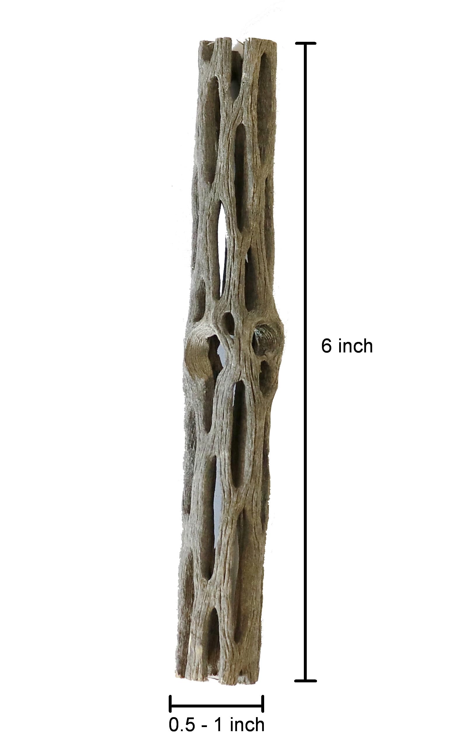 SoShrimp Natural Cholla Wood for Aquarium Decoration Shrimp and Fish Tank (6 Inch (5 Pack))