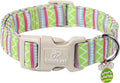 Easter Dog Collar for Large Dogs - Brightly Colored Stripe Easter Collars for Boy Girl Dogs, Adjustable Spring Holiday Pet Collars with Quick Release Buckle L