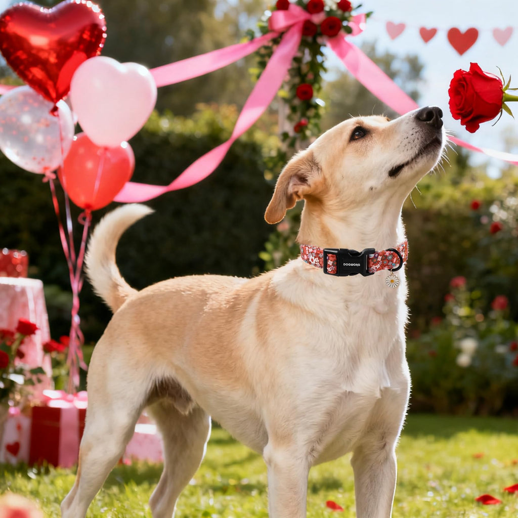 DOGWONG Red Flower Dog Collar, Cute Adjustable Floral Collar, Girl Female Dog Collar with Strong Plastic Buckle for Small Medium Large Dog.M