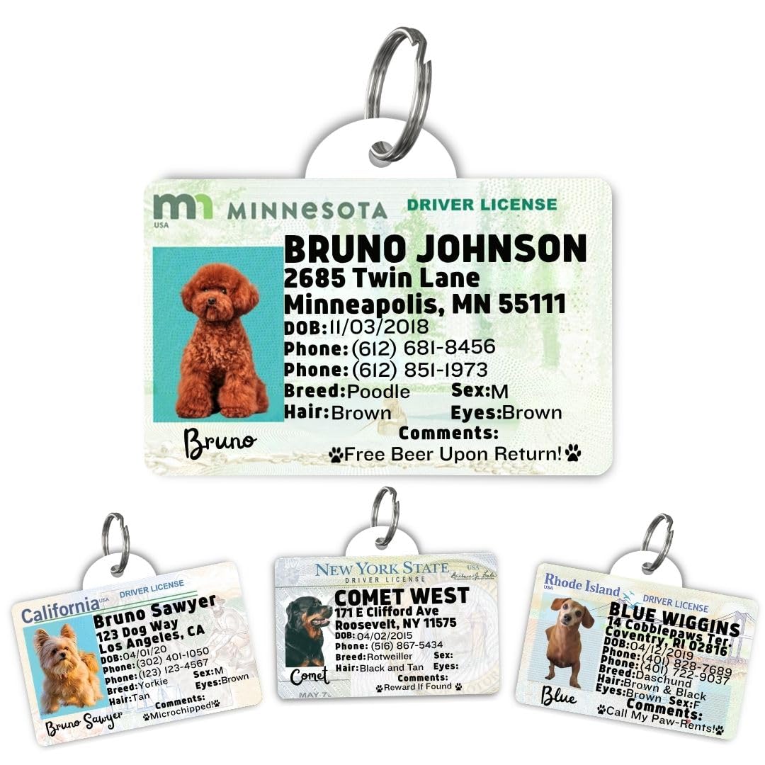 Dog Tags Personalized, Dog ID License Tag for Pets (Washington, Tag)