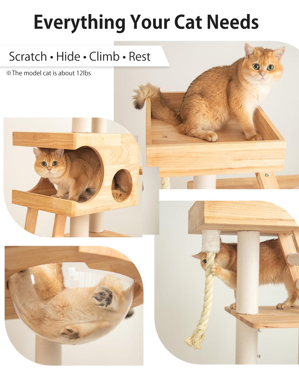PETTIFUL 61.8" Wood Cat Tree Tower for Large Cats, Acrylic Bowl & Ladder