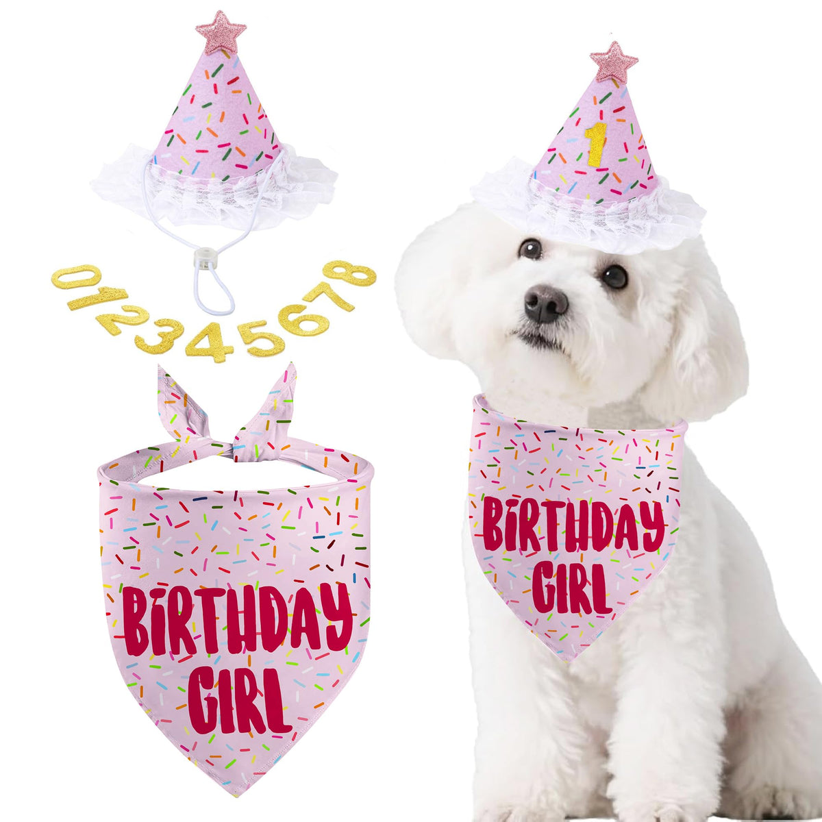 Dog Birthday Bandana Set, Rose Pink Birthday Girl Decorations, HBD Party Supplies with Hat Bandana Numbers for Pets (Pink)