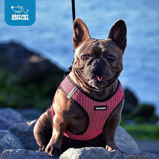 Voyager Step-in Air Dog Harness - All Weather Mesh Step in Vest Harness for Small and Medium Dogs by Best Pet Supplies - Harness (Fuchsia 2-Tone), X-Large